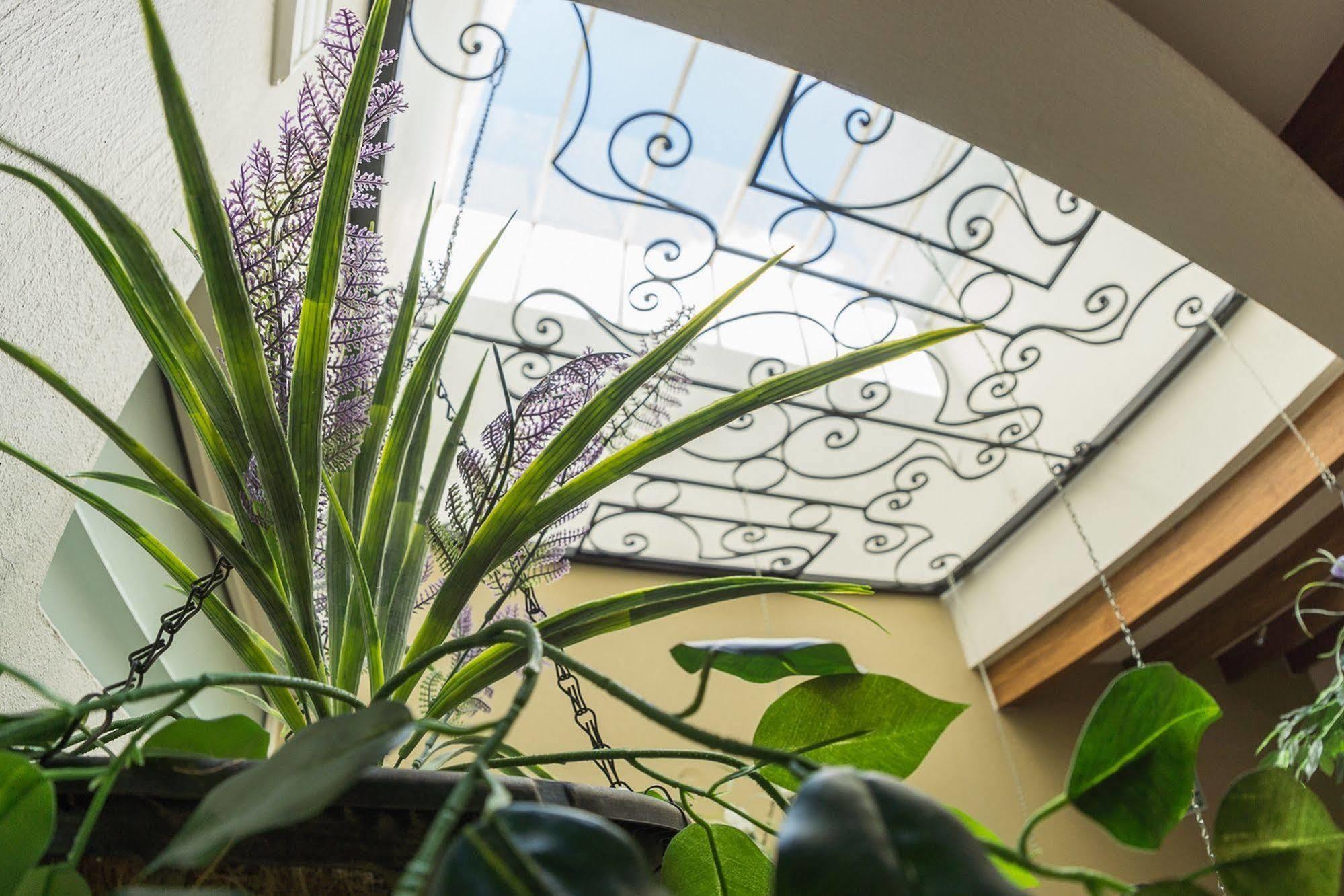San Pietro Boutique Hotel トラケパケ エクステリア 写真